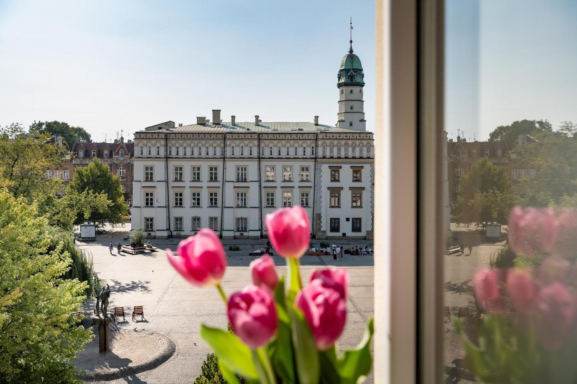Amazing In The Heart Of Kazimierz Krakau